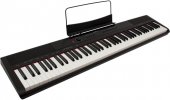 Цифровое пианино Denn Pro PW01 BK