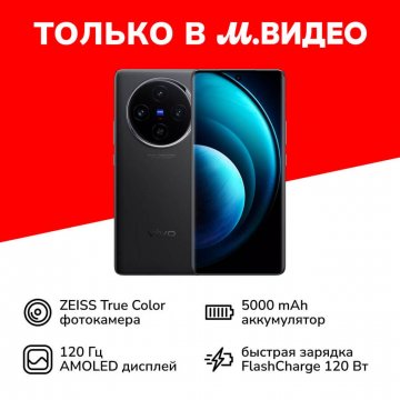 Характеристики смартфона Vivo X100 16/512GB Черный астероид