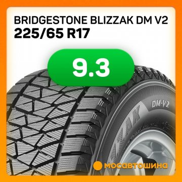 BRIDGESTONE Blizzak DM V2 225/65 R17 102S – купить шину