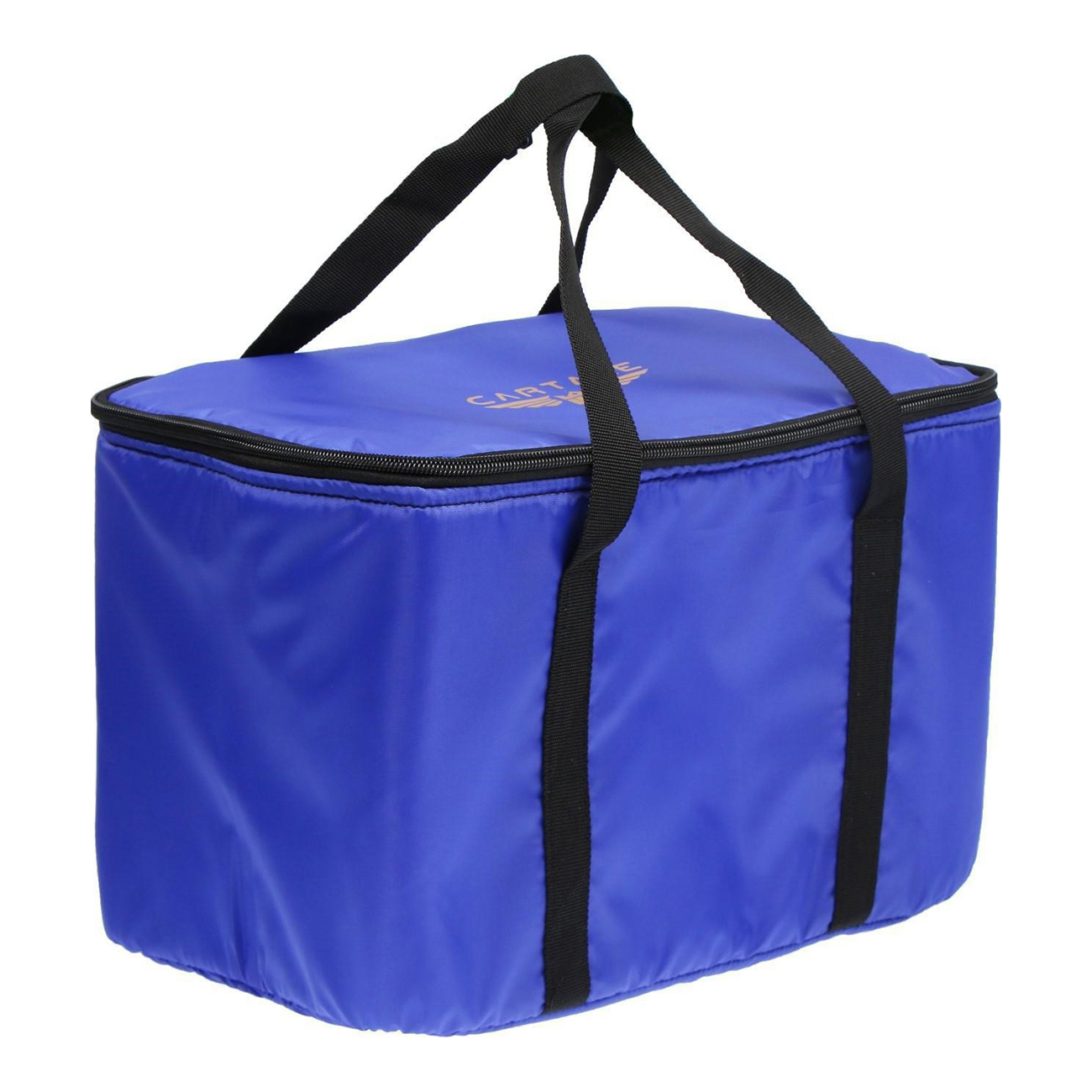 Термосумка 24. Термосумка медицинская гем 24 л 590024. Термосумка thermos classic 12 can cooler teal, 10л. Сумка холодильник igloo. Изотермическая сумка-холодильник igloo hlc 24 blue.