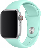 фото Ремешок silicone band для apple watch 38/40мм, салатовый (tfn-wa-awsb40c34)