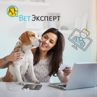 фото Страхование мой ветеринар ветэксперт