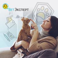 фото Страхование мой ветеринар + защита питомца ветэксперт