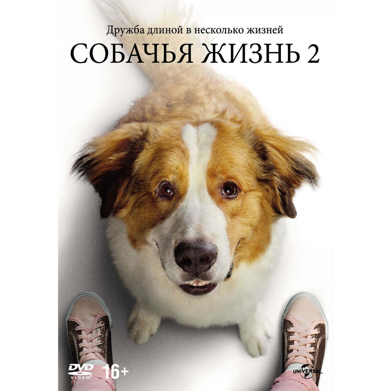 Dogs life. Собачья жизнь 2 фильм 2019 Постер. DVD. Собачья жизнь 2. Собачья жизнь 2 (Blu-ray). Собачья жизнь обложка.