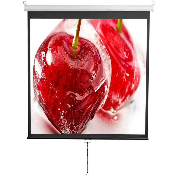 Экраны для проекторов DIGIS – купить экран для проектора Digis (Дигис ...