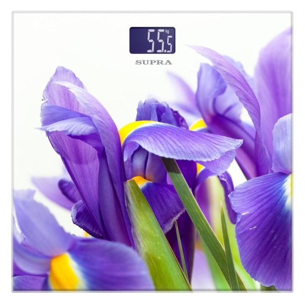 фото Напольные весы bss-2013 supra