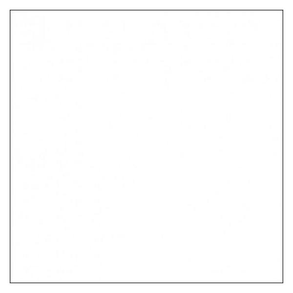 фото Фотофон 60х130 см, белый матовый (00000134811) fst