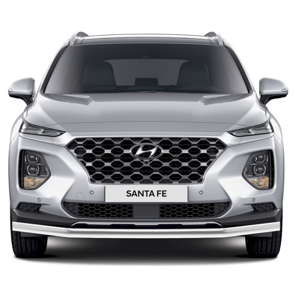 фото Защита переднего бампера для hyundai santa fe 2018+ (r.2312.001) rival