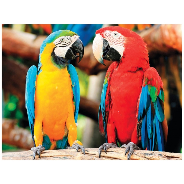 фото Алмазная мозаика "яркие попугаи", 40х50 см (662413) остров-сокровищ