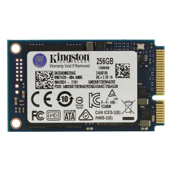 KC600 256GB (SKC600MS/256G)